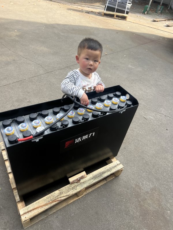 合力叉車力達(dá)托盤車叉車蓄電池12-3PZS300 24V300AH 