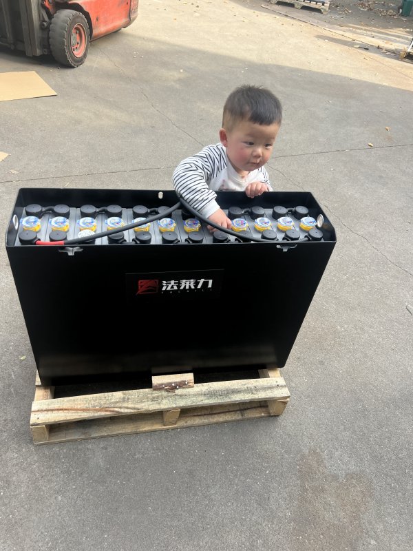合力叉車力達(dá)托盤車叉車蓄電池12-3PZS300 24V300AH 