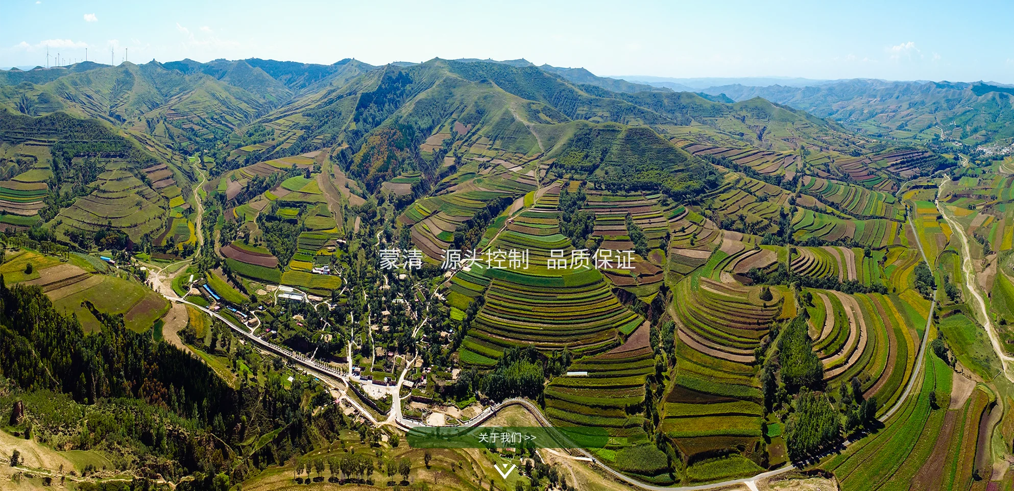 蒙清源頭產(chǎn)地
