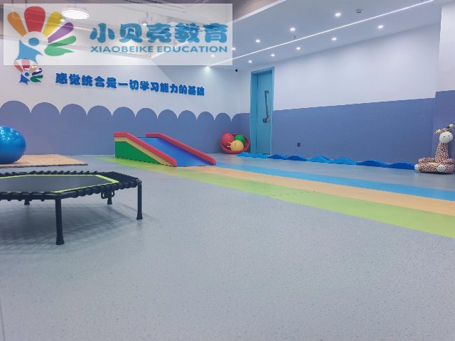 甘肃早期自闭症儿童社交