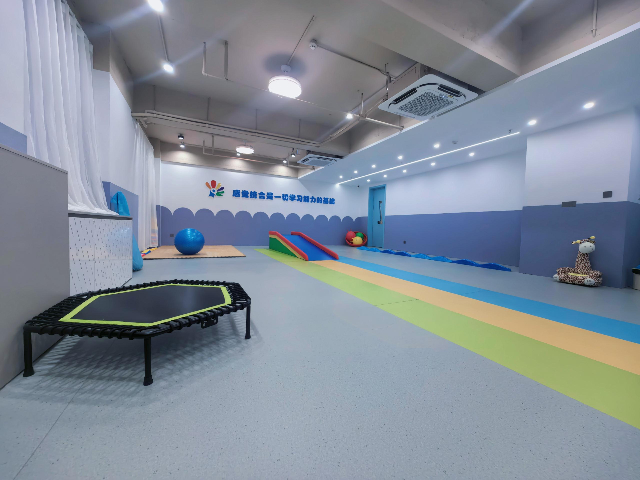 嘉興輕微感統(tǒng)咨詢服務(wù),感統(tǒng)