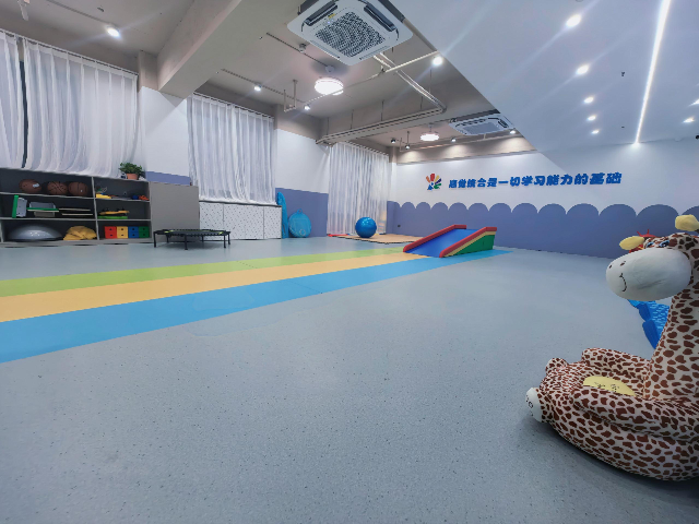 麗水早期感統器材