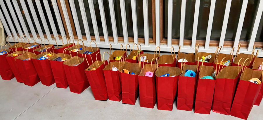 金華語(yǔ)言自閉癥咨詢(xún) 義烏小貝殼教育信息咨詢(xún)供應(yīng)