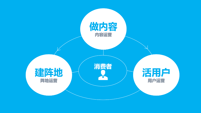 哪里自动营销常见问题 和谐共赢 新疆派威智研科技供应