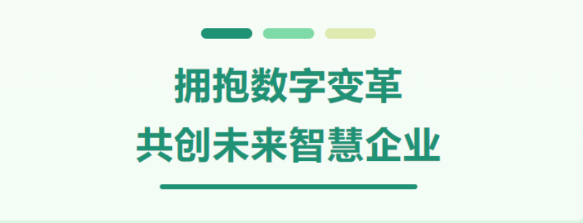 傳統(tǒng)企業(yè)數(shù)字化轉(zhuǎn)型的國家戰(zhàn)略,數(shù)字化轉(zhuǎn)型