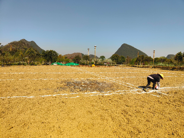 安順生態共享農場計劃 歡迎咨詢 貴中和文化旅游供應