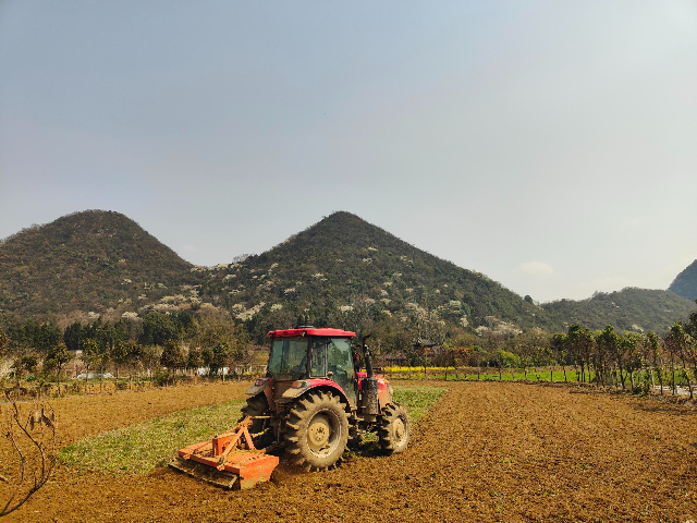 云巖區(qū)本地共享農(nóng)場活動 歡迎咨詢 貴中和文化旅游供應