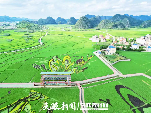 毕节本地共享农场 贵中和文化旅游供应