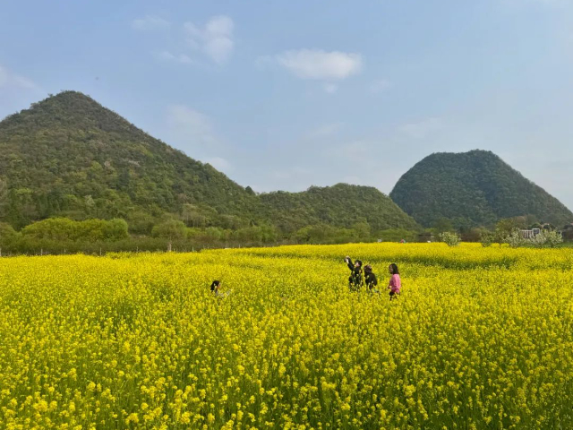 云巖區(qū)碳中和共享農(nóng)場活動 來電咨詢 貴中和文化旅游供應(yīng)