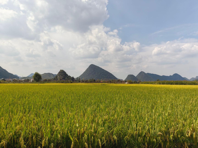 觀山湖區(qū)旅居秋天 推薦咨詢 貴中和文化旅游供應(yīng)