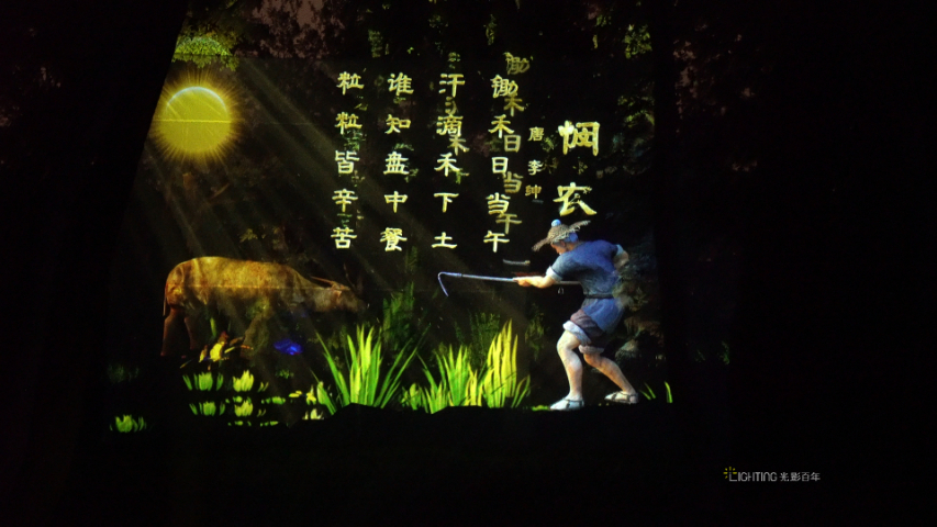 山東植物園夜游一體化方案 深圳市光影百年科技供應;