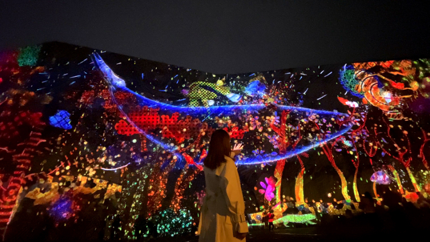 辽宁文化旅游光影秀,光影秀