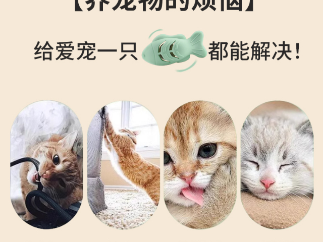 东莞慢食碗宠物硅胶用品