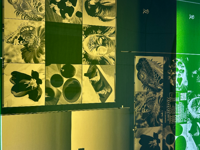 廣州比較好的水洗柔版 服務為先 逸印精密電子供應