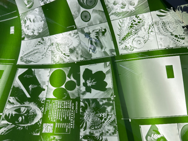 福建比較好的柔性版材哪里買 服務(wù)為先 逸印精密電子供應(yīng);