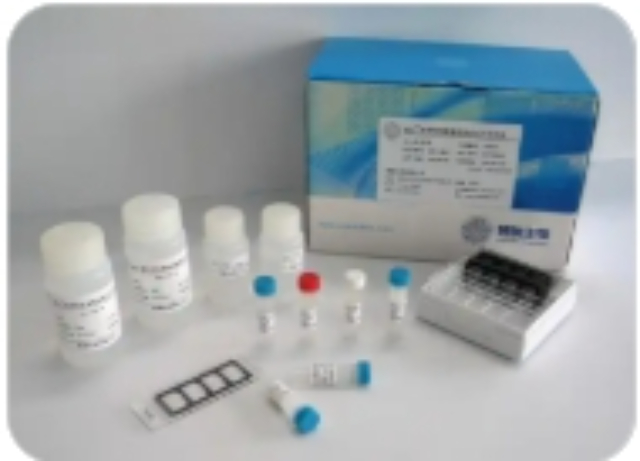 鄞州區信息化生物檢測試劑盒