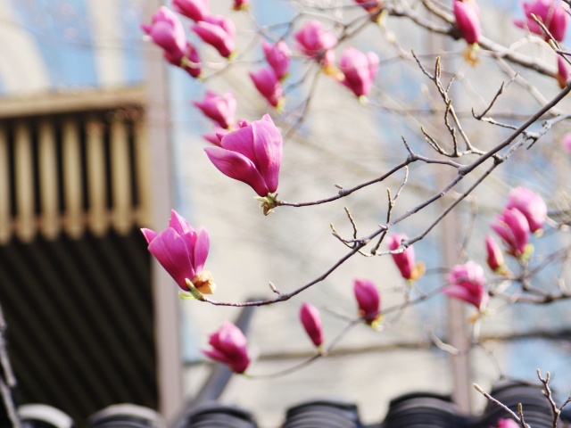 芬蘭本碩連讀留學(xué)機(jī)構(gòu) 蘇州繪夢(mèng)空間網(wǎng)絡(luò)科技供應(yīng)