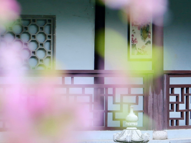 芬蘭初中留學咨詢,芬蘭留學