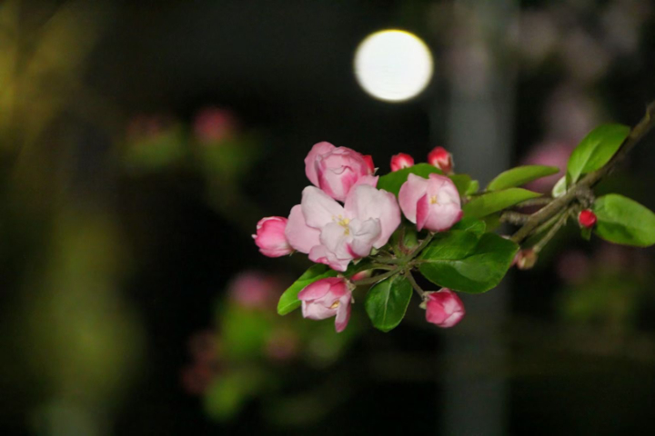 芬蘭體育類留學(xué)選擇,芬蘭留學(xué)