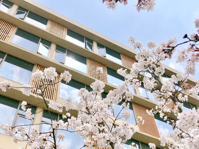 芬蘭美術(shù)類留學(xué)花費(fèi)多少 蘇州繪夢(mèng)空間網(wǎng)絡(luò)科技供應(yīng)