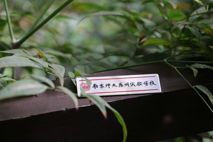 本科國際班價格,國際班