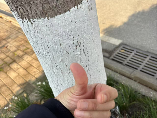 廣州秋冬樹木涂白劑加盟商,樹干涂白劑