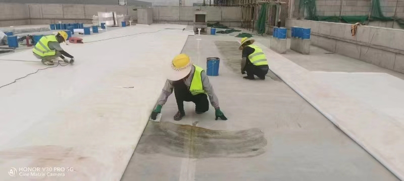 四川保溫板膠粘劑生產(chǎn)廠家 抱誠守真 四川妙可言防水材料供應(yīng)