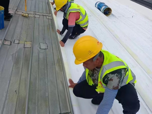 PVC防水輔材價(jià)格 服務(wù)至上 四川妙可言防水材料供應(yīng)