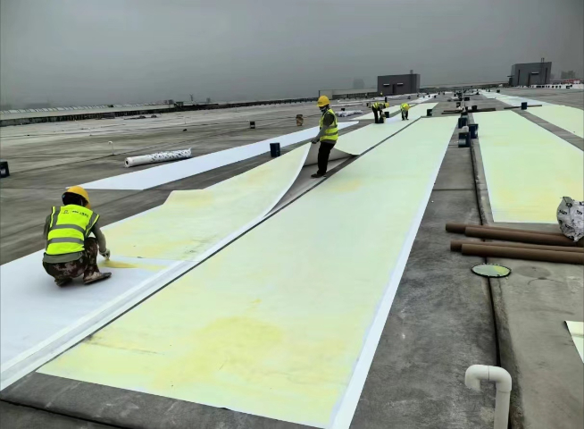 成都防水卷材808膠粘劑生產(chǎn) 抱誠守真 四川妙可言防水材料供應(yīng)