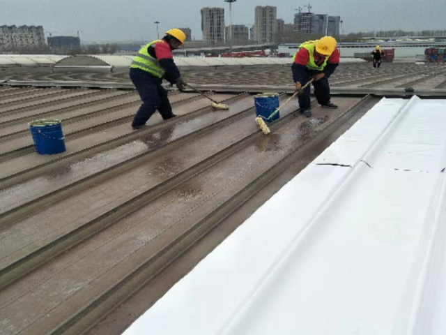 PVC防水釘子廠家供應(yīng) 歡迎來電 四川妙可言防水材料供應(yīng)