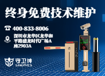 终身技术维护