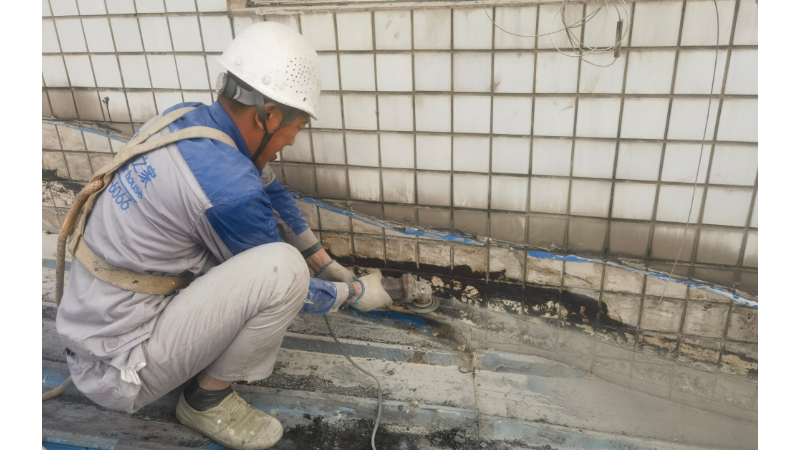 青白江區(qū)彩鋼瓦廠房金屬屋面板更換 鼎繕美建筑修繕技術(shù)供應(yīng)