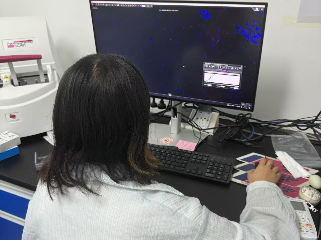 北京甲苯胺藍(lán)全景掃描售價 南京有夢生物科技供應(yīng);