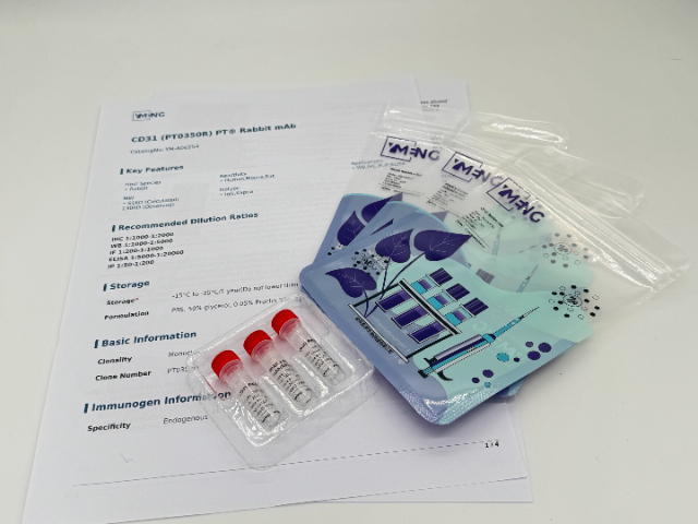 西藏兔科研一抗一般多少錢 南京有夢(mèng)生物科技供應(yīng)