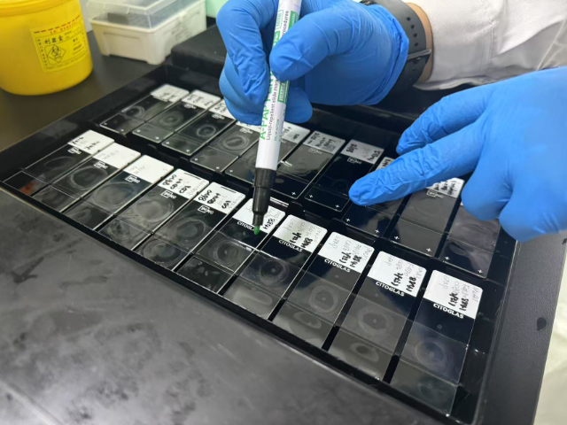 浙江有什么科研一抗市場(chǎng)價(jià)格 南京有夢(mèng)生物科技供應(yīng)