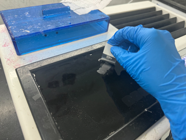 云南血管病理切片銷售價(jià)格 南京有夢生物科技供應(yīng)