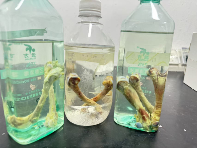 天津進(jìn)口OCT包埋劑銷售價格,OCT包埋劑
