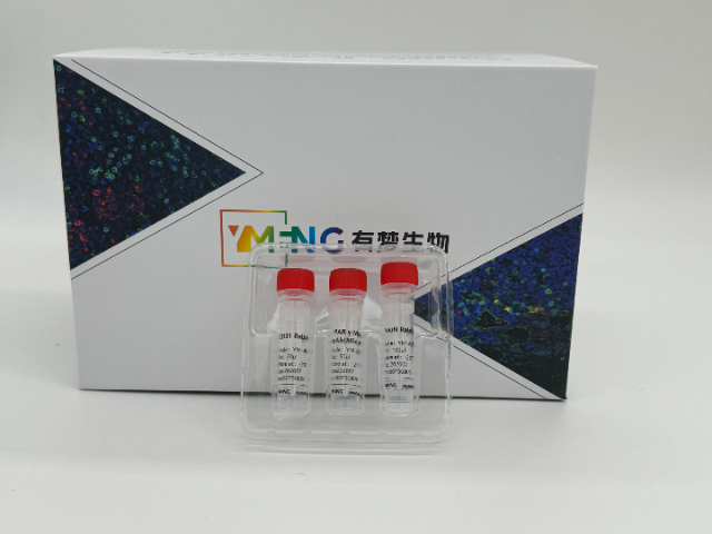 貴州進口科研一抗型號,科研一抗