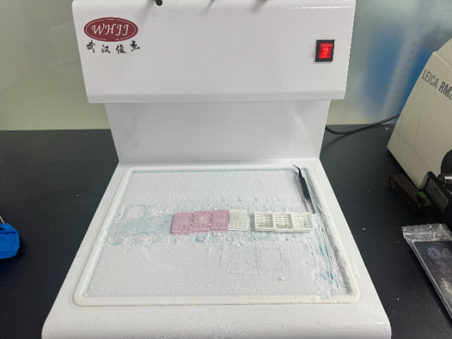 陜西病理切片 南京有夢生物科技供應(yīng)