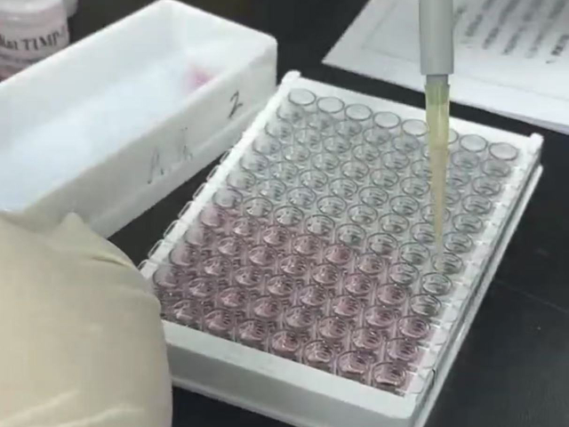中國香港豬ELISA試劑盒單價 南京有夢生物科技供應;