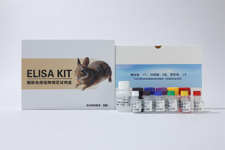 中國臺灣進口ELISA抗體試劑售價 南京有夢生物科技供應