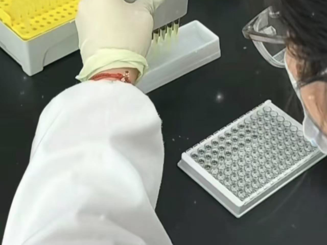 廣西兔酶聯免疫吸附測定試劑盒價格實惠 南京有夢生物科技供應