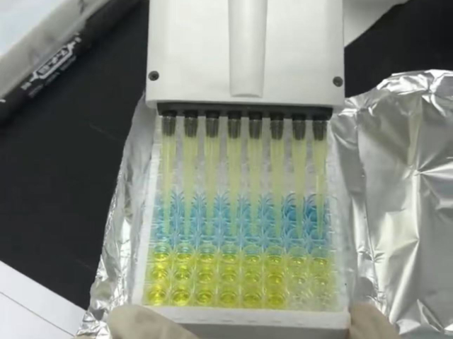 甘肅牛ELISA抗體試劑使用方法 南京有夢(mèng)生物科技供應(yīng);