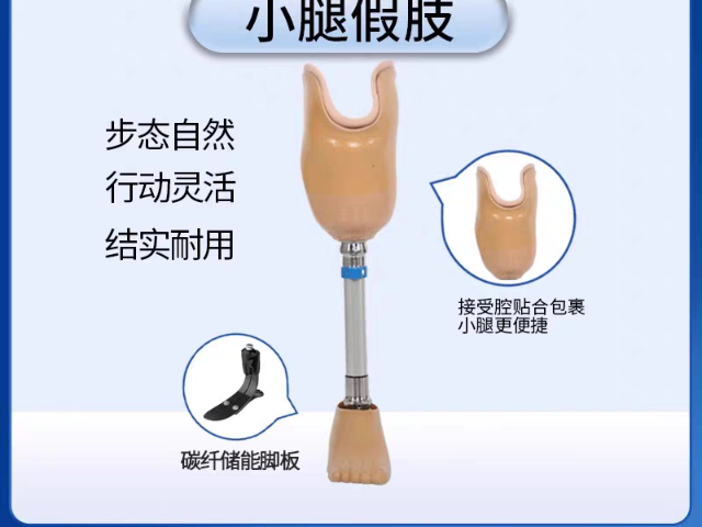 小腿假肢互惠互利