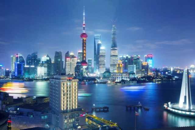 深圳整箱國際貨代公司 鑄造輝煌 大森林全球物流供應