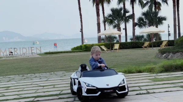 岳氏車業新品推出YSA500蘭博基尼授權~單座小型,跑車