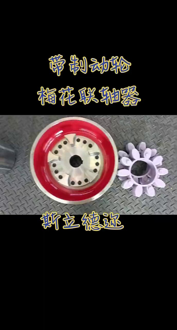 云南万向梅花联轴器哪家强,梅花联轴器