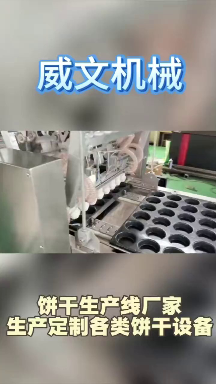 河南双排蛋糕机定制,蛋糕机